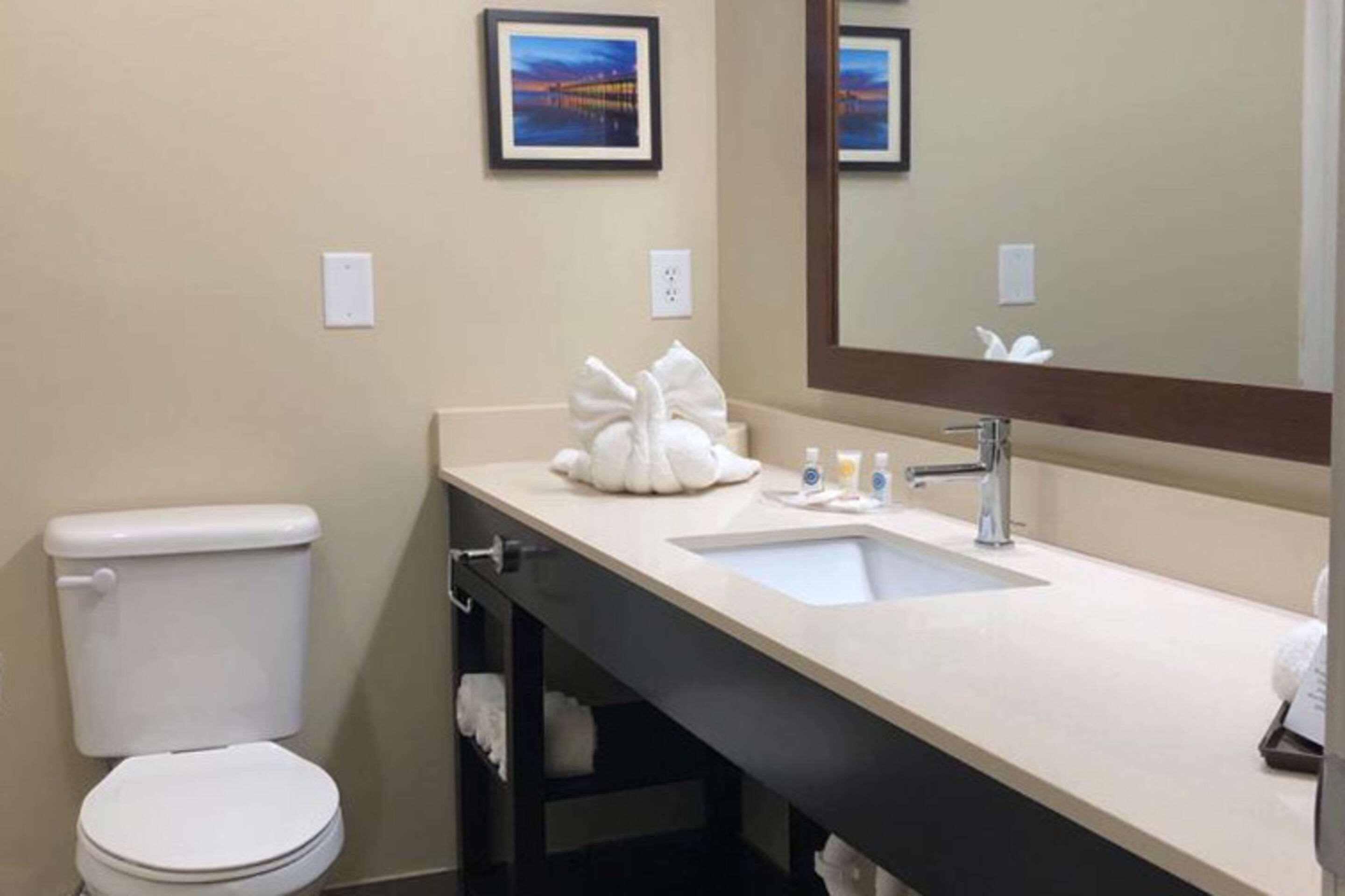 ג'קסונוויל Comfort Suites Near Camp Lejeune מראה חיצוני תמונה