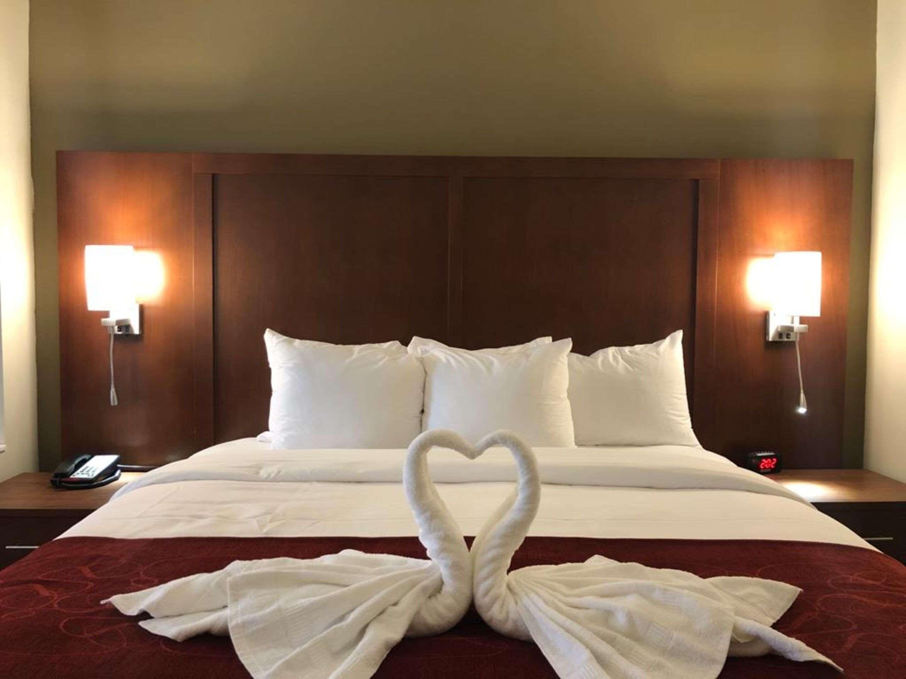 ג'קסונוויל Comfort Suites Near Camp Lejeune מראה חיצוני תמונה