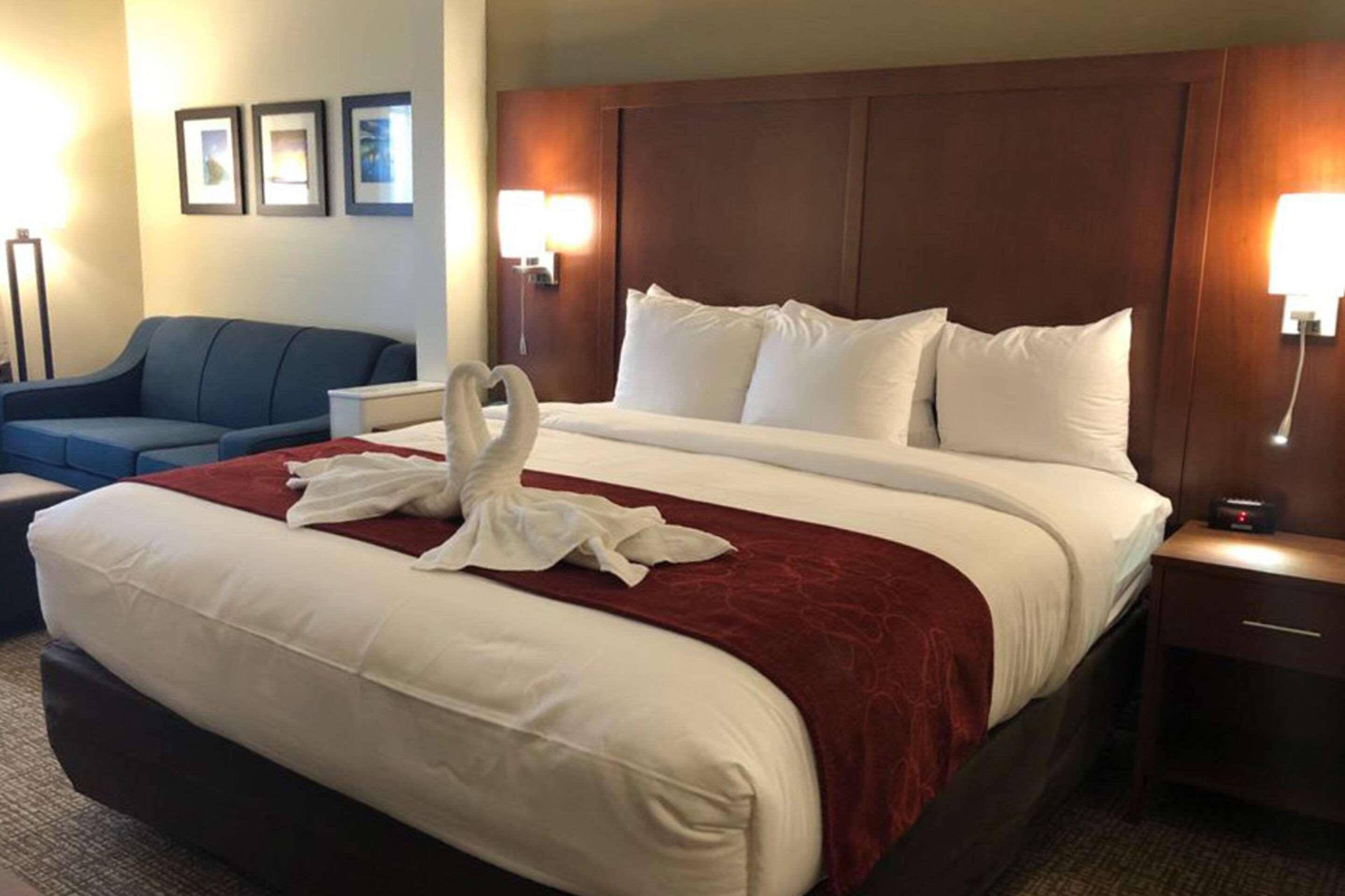 ג'קסונוויל Comfort Suites Near Camp Lejeune מראה חיצוני תמונה